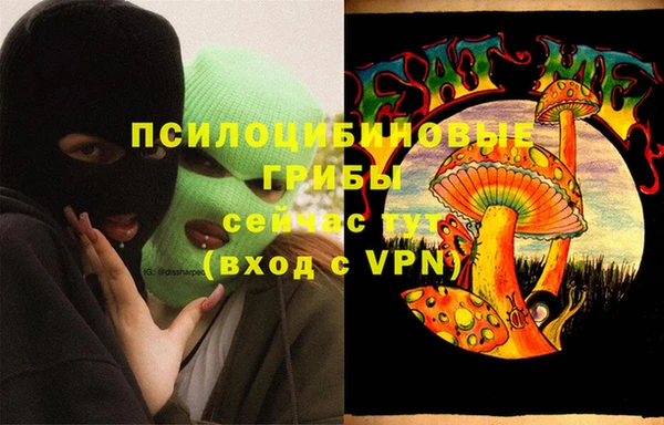 крисы Киреевск
