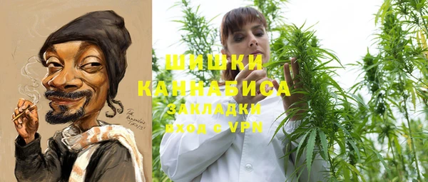 ПСИЛОЦИБИНОВЫЕ ГРИБЫ Анжеро-Судженск