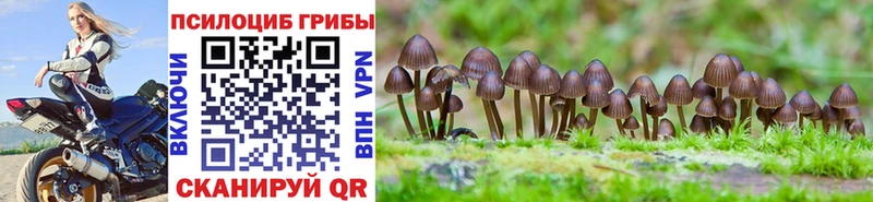 нарко площадка Telegram  Высоковск  Галлюциногенные грибы MAGIC MUSHROOMS 